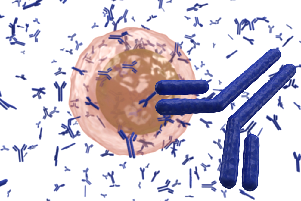 Illustration av en B-cell som producerar antikroppar